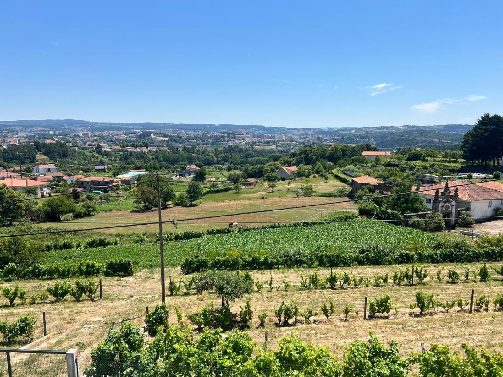 Casa Machado Villa Vila Real Kültér fotó